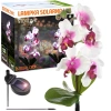 Solarblume | Solar-LED-Gartenlampe Orchidee | 75 cm, 600 mAh | FLD-23-WP
