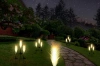 LED-Gartenleuchte Solar Blume Pampasgras | 73 cm, 600 mAh | FLD-04-W