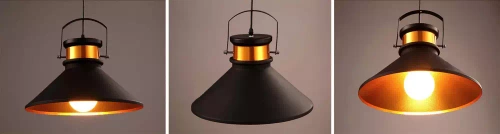 Pendelleuchte im Loft-Stil | ZRT-C100-A