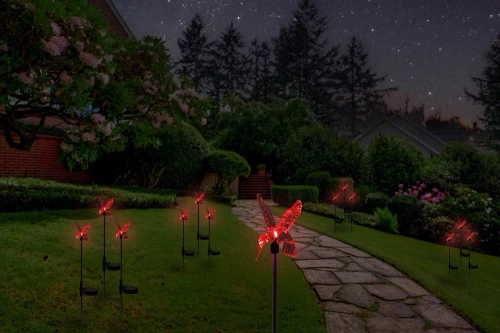 LED-Gartenleuchte Solar Kolibri | 66 cm, 600 mAh | FLD-41