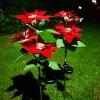 Solarblume | Garten Solar LED Lampe Stern von Bethlehem | 70 cm, 600 mAh | FLD-22-RED