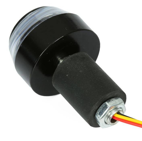2in1 Motorrad-Lampen | Blinker und Tagfahrlicht | DUAL COLOR