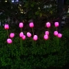 Solarblume | Solar-LED-Gartenlaterne Tulpe | 65 cm, 600 mAh | FLD-40-PINK