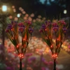 Solarblume | Solar-LED-Gartenlaterne Astra | 60 cm, 600 mAh | FLD-13-P