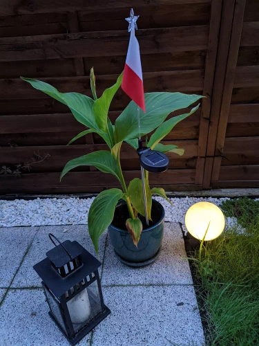 Garten Solar-LED-Laterne mit polnischer Flagge | 73cm 600mAh | FLD-12-PO
