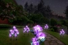 Solarblume | Solar-LED-Gartenlaterne Hortensie | 76 cm, 600 mAh | FLD-37-PURPLR