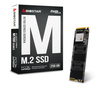 Biostar M700 M.2 NVMe PCI-E x4 Gen3 256 GB BOX-SSD