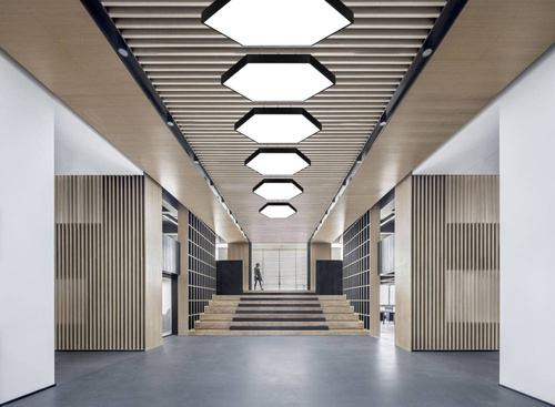 LED-Hängeleuchte 80W | Vollsechseck | Aluminium | Blendfreies CCD | Φ80x6 | LPL-003