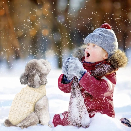 Hundepullover mit Rollkragen | Größe S | weiß | PET-014S-White