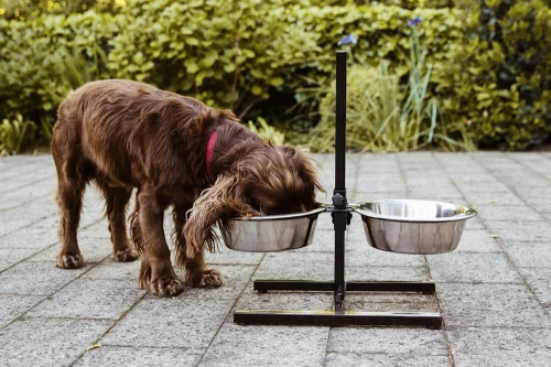 Doppelnapf für Futter und Wasser | Schalen auf höhenverstellbarem Gestell für Hund oder Katze | LDB-2ML-BLACK