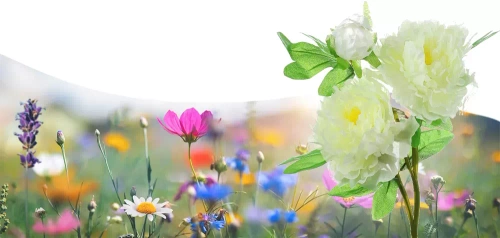 Solarblume | Solar-LED-Gartenlaterne Peonia weiß | 80 cm, 600 mAh | FLD-10-WHITE