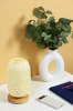 Rattan-Nachttischlampe | Stilvolle Tischlampe | ZBD-C2314-BG