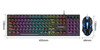 Gaming-Set Tastatur und Maus, RGB-LED-Beleuchtung, USB | TF270
