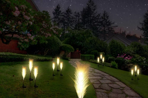 LED-Gartenleuchte Solar Blume Pampasgras | 73 cm, 600 mAh | FLD-04-W