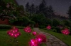 Solarblume | Solar-LED-Gartenlaterne Peonia lila | 80 cm, 600 mAh | FLD-10-PURPLE