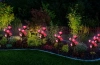 Solarblume | Solar-LED-Gartenlampe Pink Roses | 74 cm, 600 mAh | FLD-35-PINK