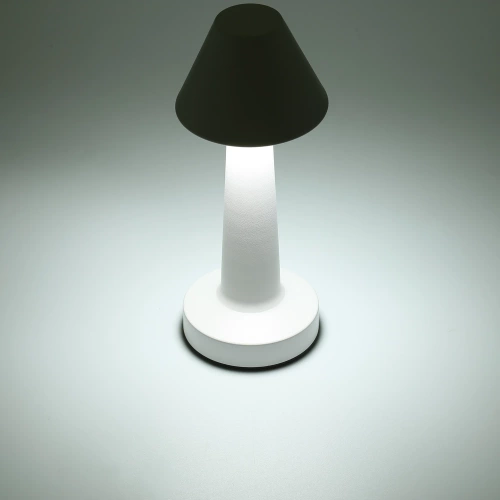 Berühren Sie die Nachttischlampe mit einstellbarer Lichtfarbe | USB-Lampe | HJA12-SILVER | Kabellose Tischlampe