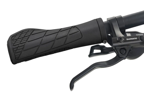 Fahrradgriffe ergonomisch | 22,2 mm | rutschfest, stoßdämpfend, komfortabel | FD187