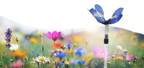 Gartensolar-LED-Lampe Schmetterling | 73 cm, 600 mAh | FLD-42-BLUE