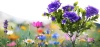 Solarblume | Solar-LED-Gartenlaterne Begonia | 60 cm, 600 mAh | FLD-27-PURPLE