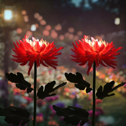 Solarblume | Solar-LED-Gartenlaterne Chrysantheme | 72 cm, 600 mAh | FLD-26-PINK