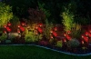 Solarblume | Solar-LED-Gartenlampe Rote Rosen | 74 cm, 600 mAh | FLD-35-RED