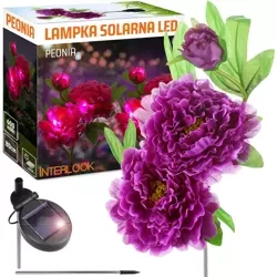 Solarblume | Solar-LED-Gartenlaterne Peonia lila | 80 cm, 600 mAh | FLD-10-PURPLE