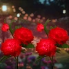 Solarblume | Solar-LED-Gartenlaterne Peonia rot | 80 cm, 600 mAh | FLD-10-RED