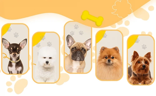 Hundepullover mit Rollkragen | Größe S | weiß | PET-014S-White