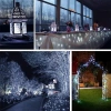 Solar-Girlande, Gartenleuchte zum Einstecken | 100 LED-Lichter, 10m | kaltweiß | FLD-100LED-WC
