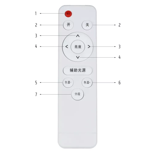 LED-Deckenleuchte | RLN-C62W-G