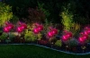 Solarblume | Solar-LED-Gartenlaterne Peonia lila | 80 cm, 600 mAh | FLD-10-PURPLE