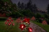 Solarblume | Garten Solar LED Lampe Stern von Bethlehem | 70 cm, 600 mAh | FLD-22-RED