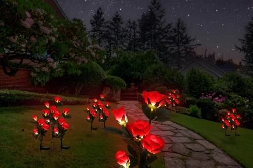 Solarblume | Solar-LED-Gartenlampe Rote Rosen | 74 cm, 600 mAh | FLD-35-RED