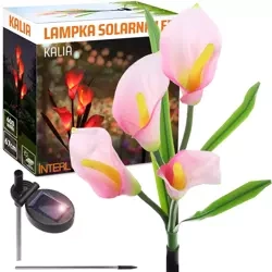 LED-Gartenleuchte Solar Blume | 67 cm, 600 mAh | pink | FLD-38-PINK