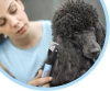 Haarbürste zum Auskämmen von Fell und Unterwolle | Tierhaarschneider | Fellpflegekamm | PDS-179-BLUE