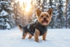 Winter Hundejacke mit integrierten Geschirr | Größe S | warm, wasserdicht | PET-017XS-BK