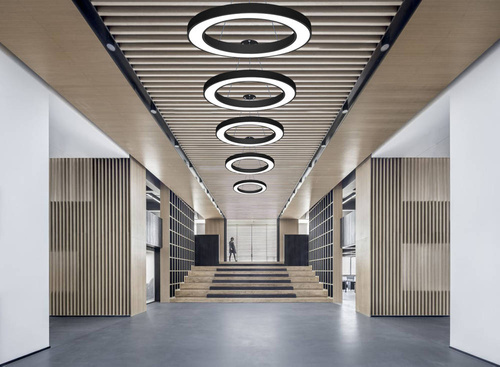 Modern Lineare LED Hängelampe 50W, Aluminium rund Pendelleuchte | Höhenverstellbar | Φ80x6 | LPL-004