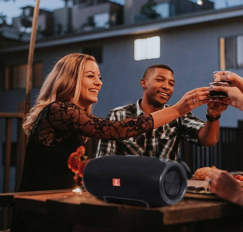 Bluetooth-Lautsprecher | tragbar, FM-Radio, Boombox-Funktion | TG-120