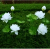Solarblume | Solar-LED-Gartenlampe Lotus, Wasserlilie | 72 cm, 600 mAh | FLD-25-WHITE