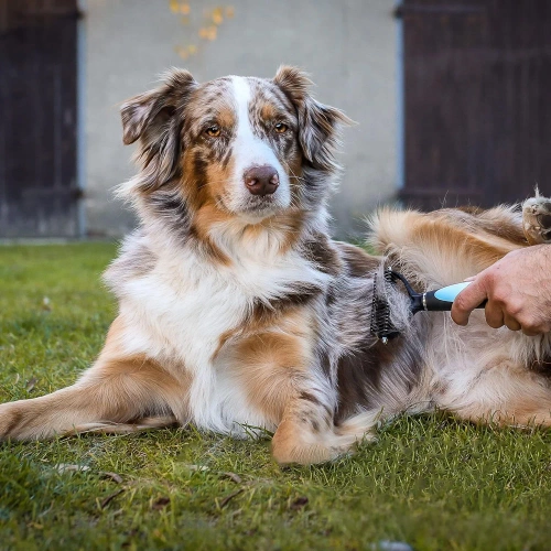 Tierfellpflegebürste | Unterwoll- und Felltrimmer | Modell PDS-179-BLUE