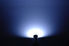 LED-Autolampe T20 W21W WY21W 22 SMD 1206 FRONT