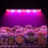 Pflanzenwachstumslampe | 6W Pflanzenlampe | DG-T5-Whitel