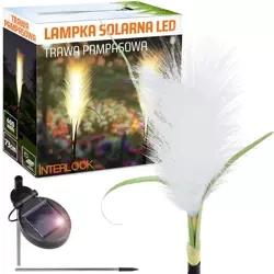 LED-Gartenleuchte Solar Blume Pampasgras | 73 cm, 600 mAh | FLD-04-W