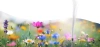 Solarblume | Solar-LED-Gartenlaterne Kaltfeuer | 90 cm, 600 mAh | FLD-45-WHITE