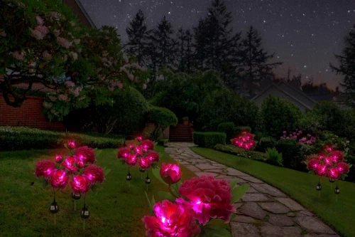 Solarblume | Solar-LED-Gartenlaterne Peonia lila | 80 cm, 600 mAh | FLD-10-PURPLE