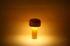 Tischlampe | YG-D017-BL