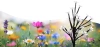 Solarblume | Solar-LED-Gartenlaterne Baum mit Blumen | 70 cm, 600 mAh | FLD-07-C