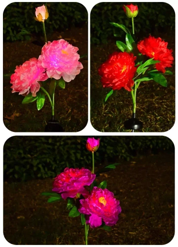 Solarblume | Solar-LED-Gartenlaterne Peonia in Rosa | 80 cm, 600 mAh | FLD-10-PINK