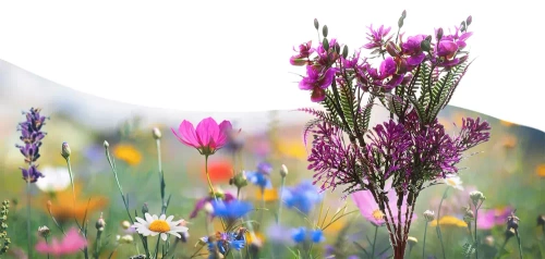 LED-Gartenleuchte Solarblume Orchideen-Bouquet | 60 cm, 600 mAh | lila | FLD-16-PURPLE